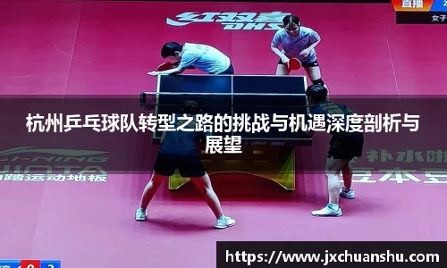 杭州乒乓球队转型之路的挑战与机遇深度剖析与展望