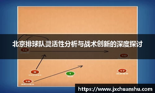 北京排球队灵活性分析与战术创新的深度探讨
